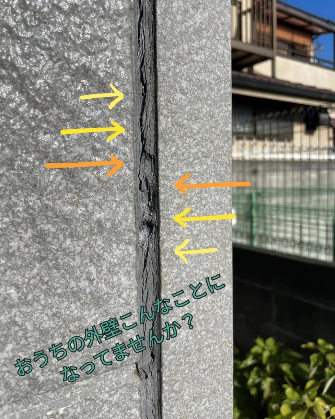 画像348