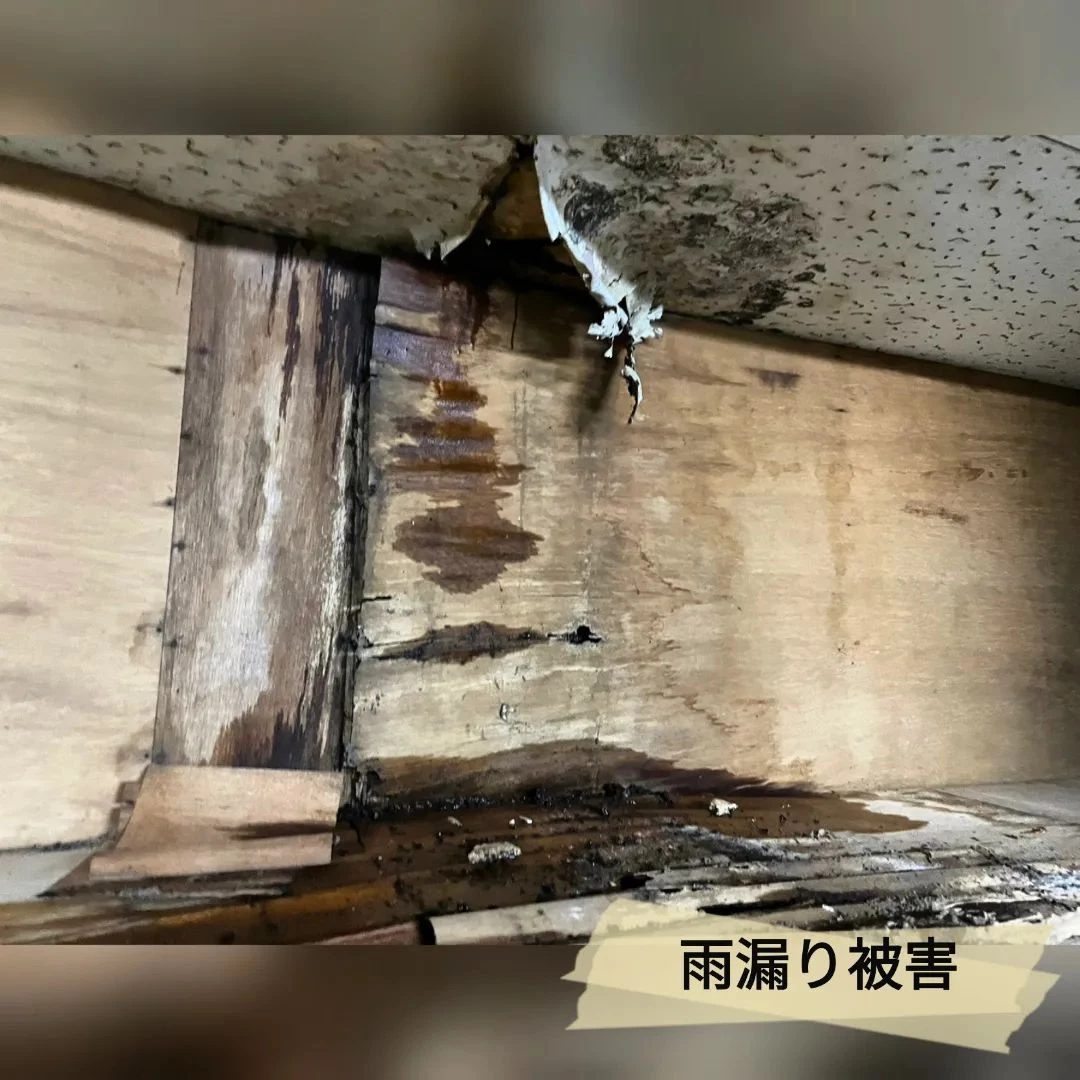画像411